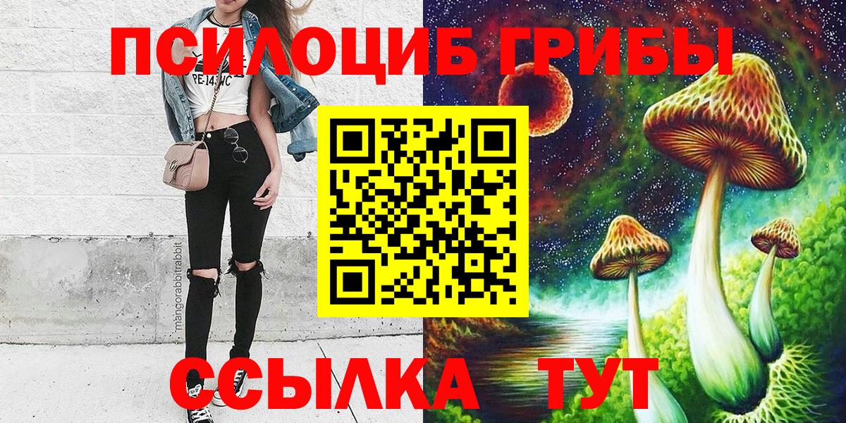 Зерноград  Галлюциногенные грибы Cubensis  Вход с VPN 