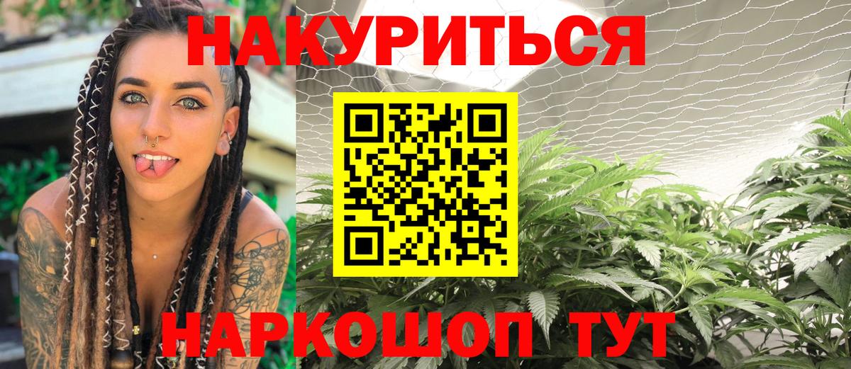 Зерноград  МАРИХУАНА план  Вход с VPN  Марихуана тримм 